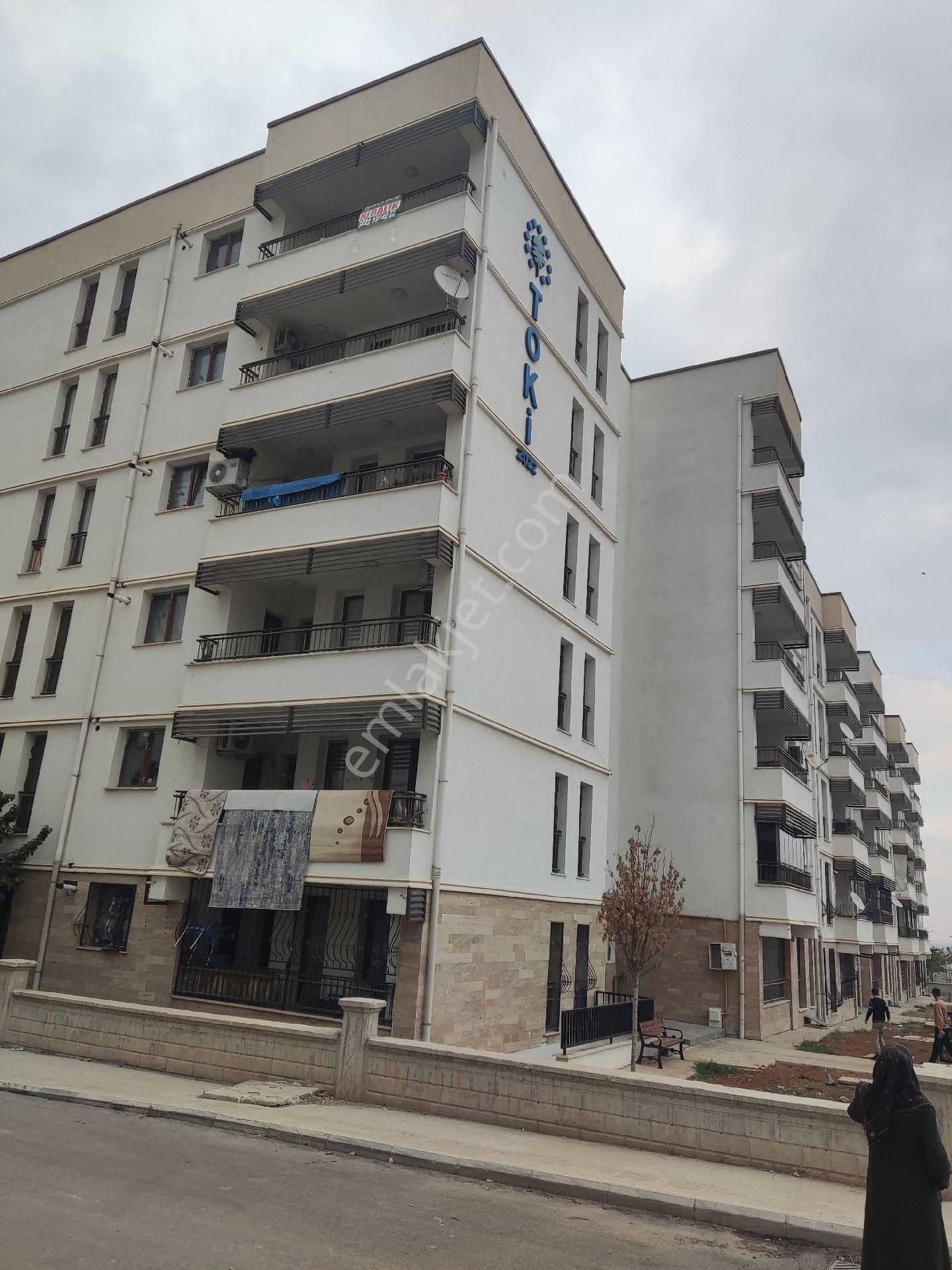 Eyyübiye Yenice Kiralık Daire Şanlıurfa Eyyübiye Yenice'de kiralık TOKİ dairesi