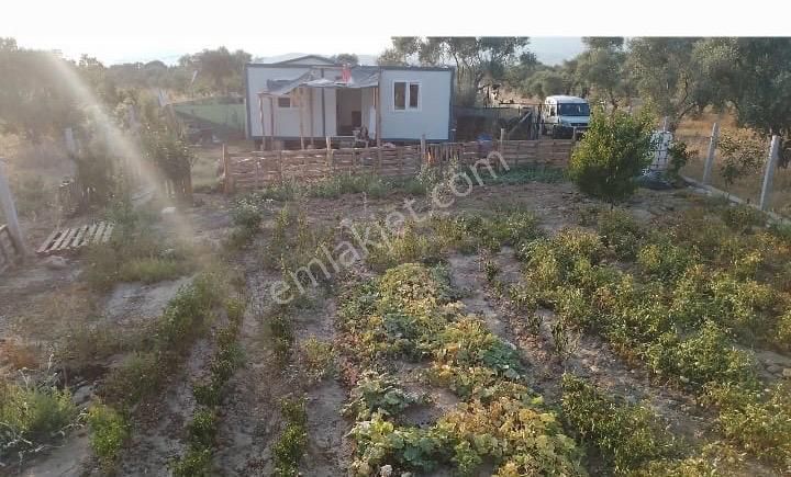 Acill Torbalı Dirmil 'de 402m2 İçerisi Konteynırlı Satılık Bahçe(arsa) - Görsel 11