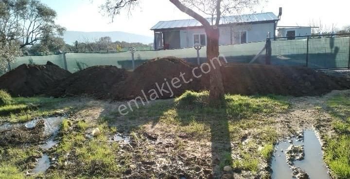 Acill Torbalı Dirmil 'de 402m2 İçerisi Konteynırlı Satılık Bahçe(arsa) - Görsel 9