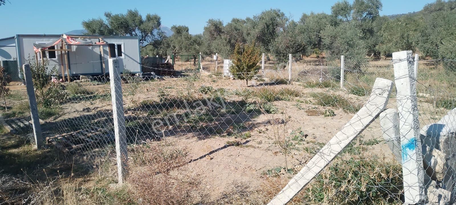 Acill Torbalı Dirmil 'de 402m2 İçerisi Konteynırlı Satılık Bahçe(arsa) - Görsel 3