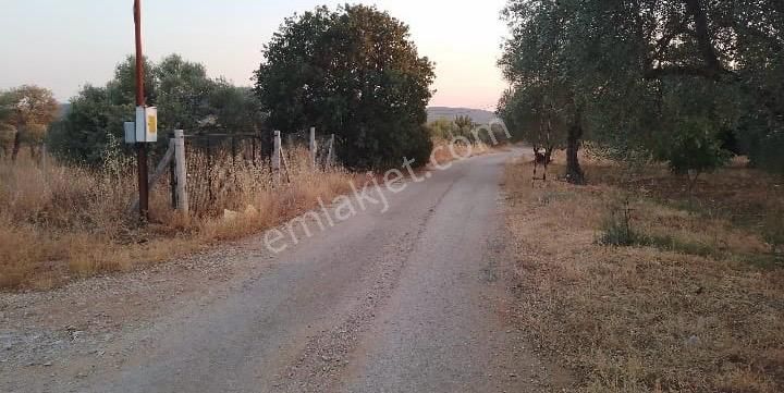 Acill Torbalı Dirmil 'de 402m2 İçerisi Konteynırlı Satılık Bahçe(arsa) - Görsel 7