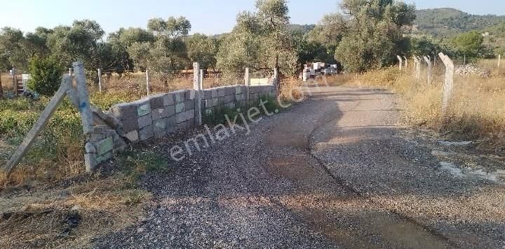 Acill Torbalı Dirmil 'de 402m2 İçerisi Konteynırlı Satılık Bahçe(arsa) - Görsel 10