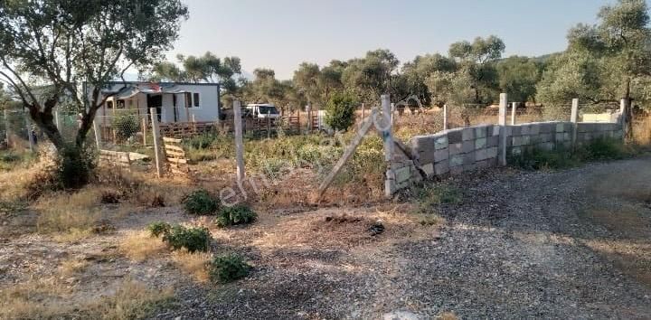 Acill Torbalı Dirmil 'de 402m2 İçerisi Konteynırlı Satılık Bahçe(arsa) - Görsel 4