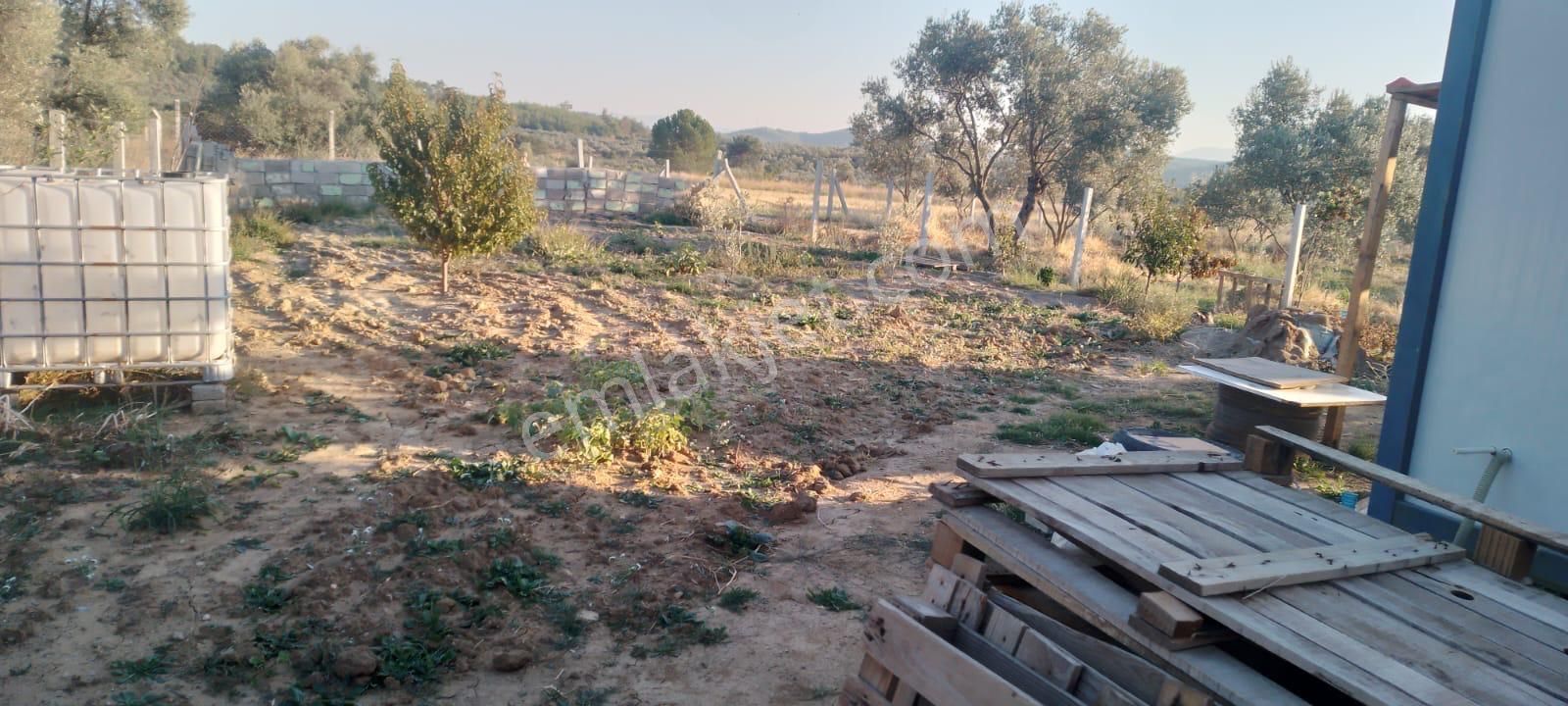 Acill Torbalı Dirmil 'de 402m2 İçerisi Konteynırlı Satılık Bahçe(arsa) - Görsel 14