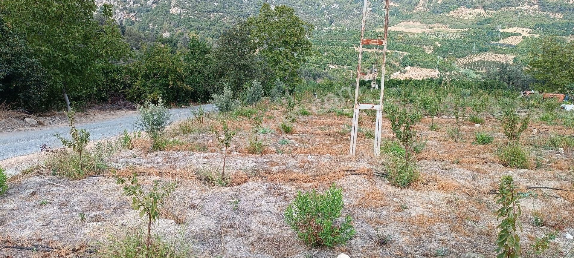 Satılık Hobi Bahçesi Takanlı Mezitli - Görsel 5