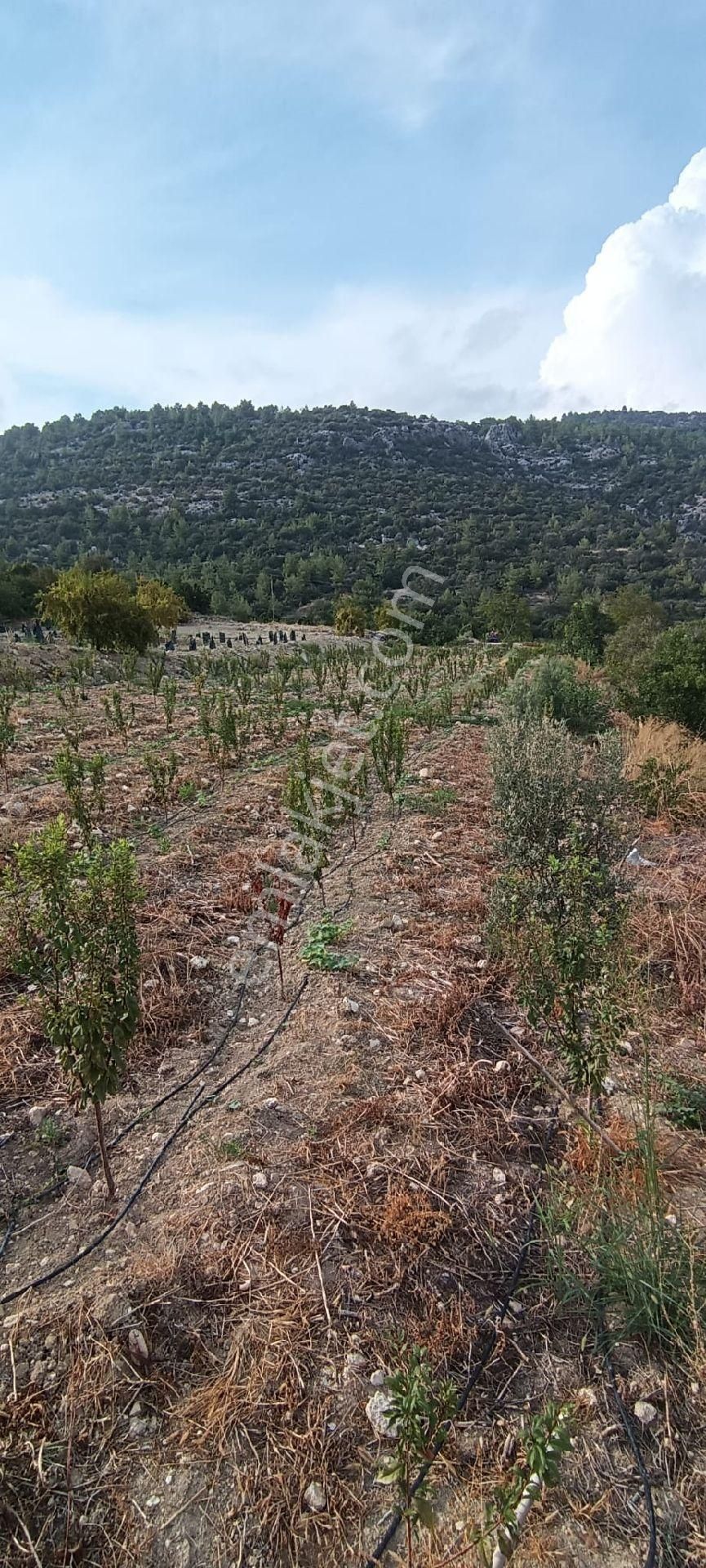 Satılık Hobi Bahçesi Takanlı Mezitli - Görsel 10