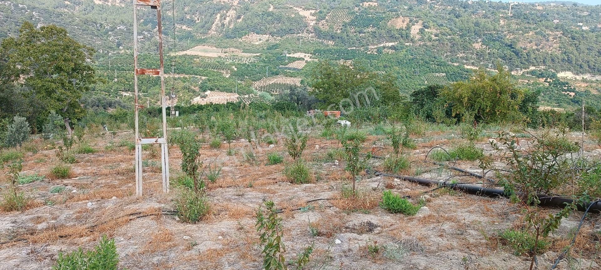 Satılık Hobi Bahçesi Takanlı Mezitli - Görsel 2