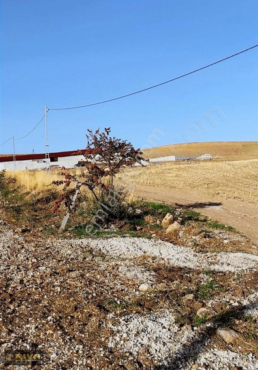 Bünyan Emirören Satılık Tarla 17 Dekar Köyiçi Arsa Yol, Su, Elektirik Yanıbaşında...