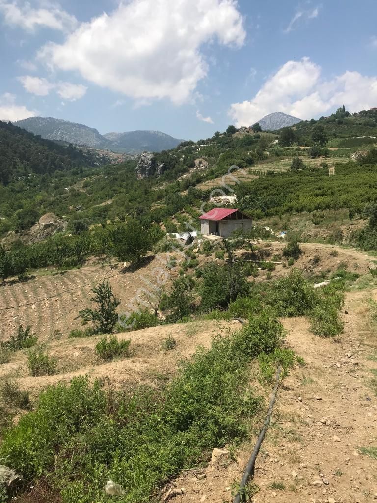 Mezitli Takanlı Satılık Tarla MERSİN MEZİTLİ TAKANLI DA SATILIK BAHÇE