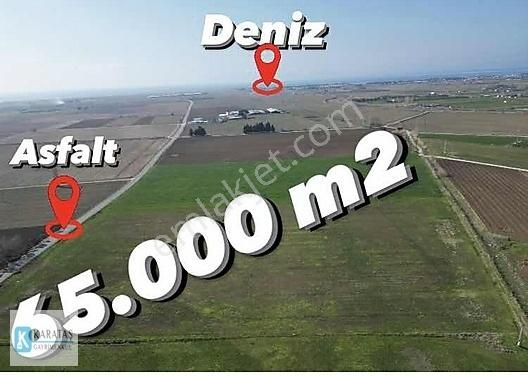 Dikili Bahçeli Satılık Tarla İmara 1.700 Metre Bahçelide 65 Dönüm Yol Cepheli Satılık Tarla