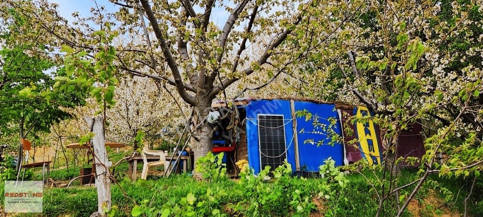 Ödemiş Bıçakçı Satılık Tarla İzmir Ödemiş 22 Dönüm Arazi Satılık