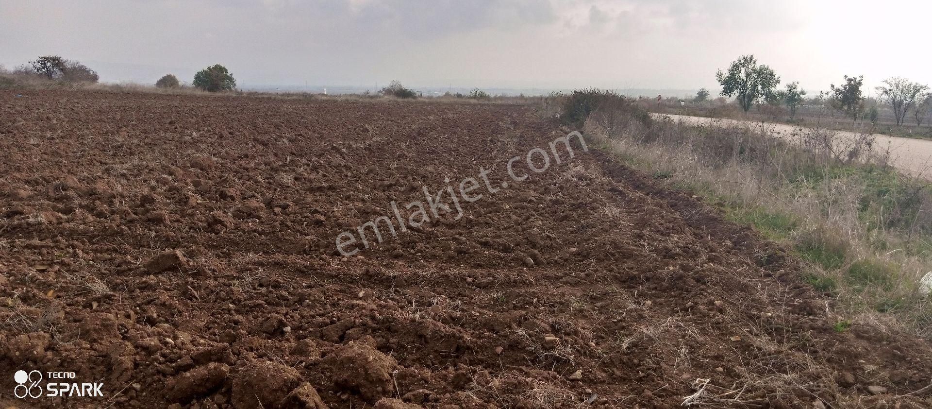 Yenişehir Demirboğa Satılık Tarla sahibinden satılık 3 adet 1 satılık