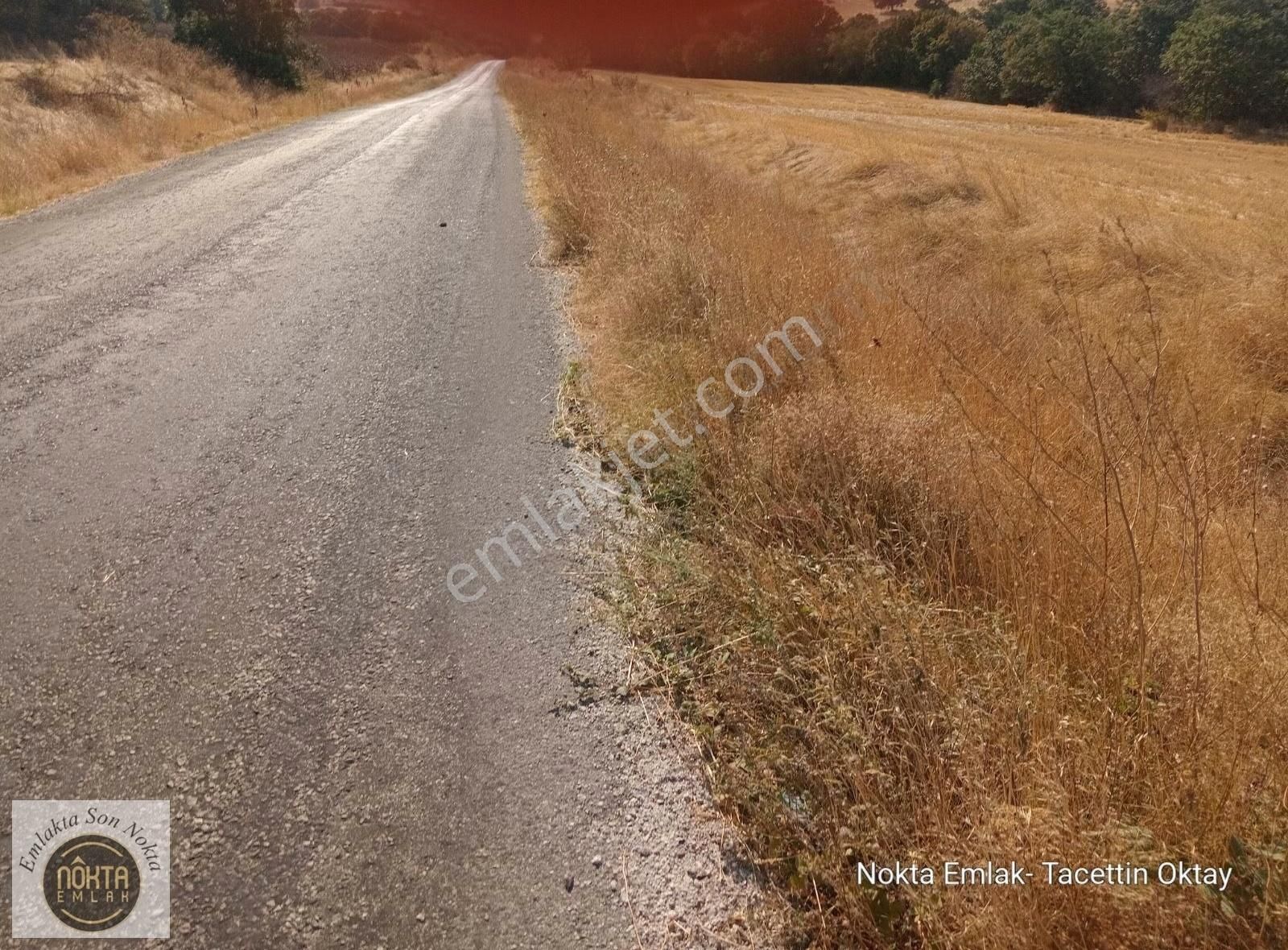 Kofçaz Yeşillik Satılık Tarla Nokta Emlaktan Satılık Asfalt Cepheli Tarla