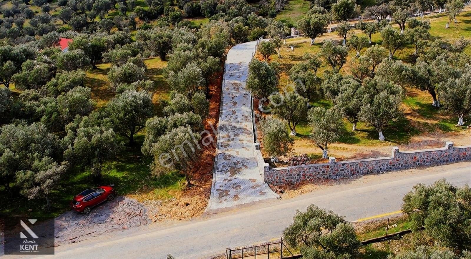 Kemalpaşa Sütçüler'de Satılık 873 M2 Zeytinlik - Görsel 6