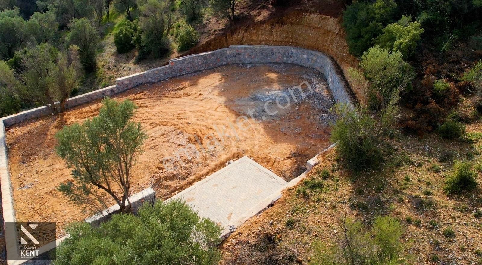 Kemalpaşa Sütçüler'de Satılık 873 M2 Zeytinlik - Görsel 4