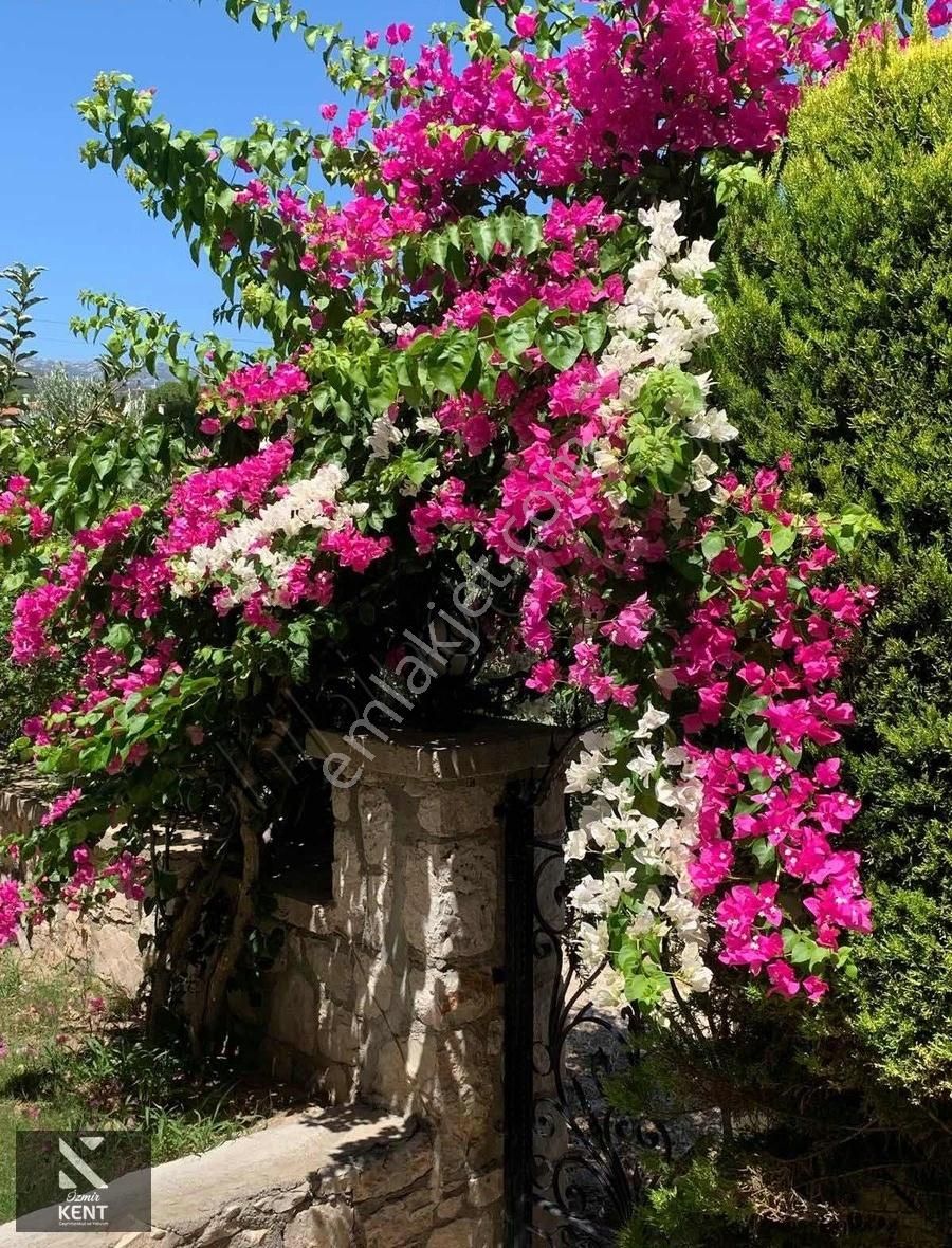 Karaburun Mordoğan Satılık Villa İzmir Karaburun Satılık Tripleks Villa