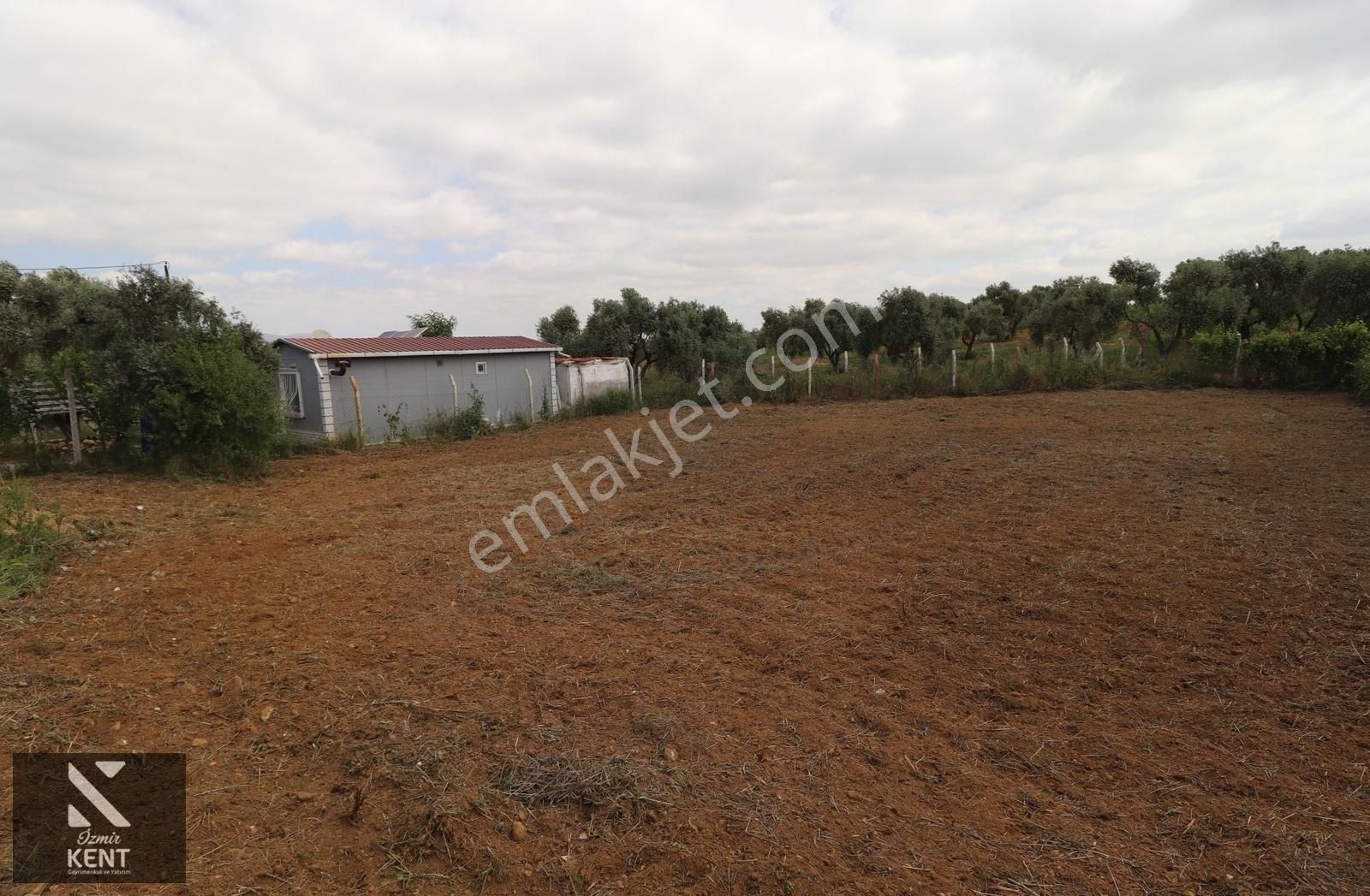 Kemalpaşa Armutlu'da Satılık İmarlı 490 M2 Arsa - Görsel 18