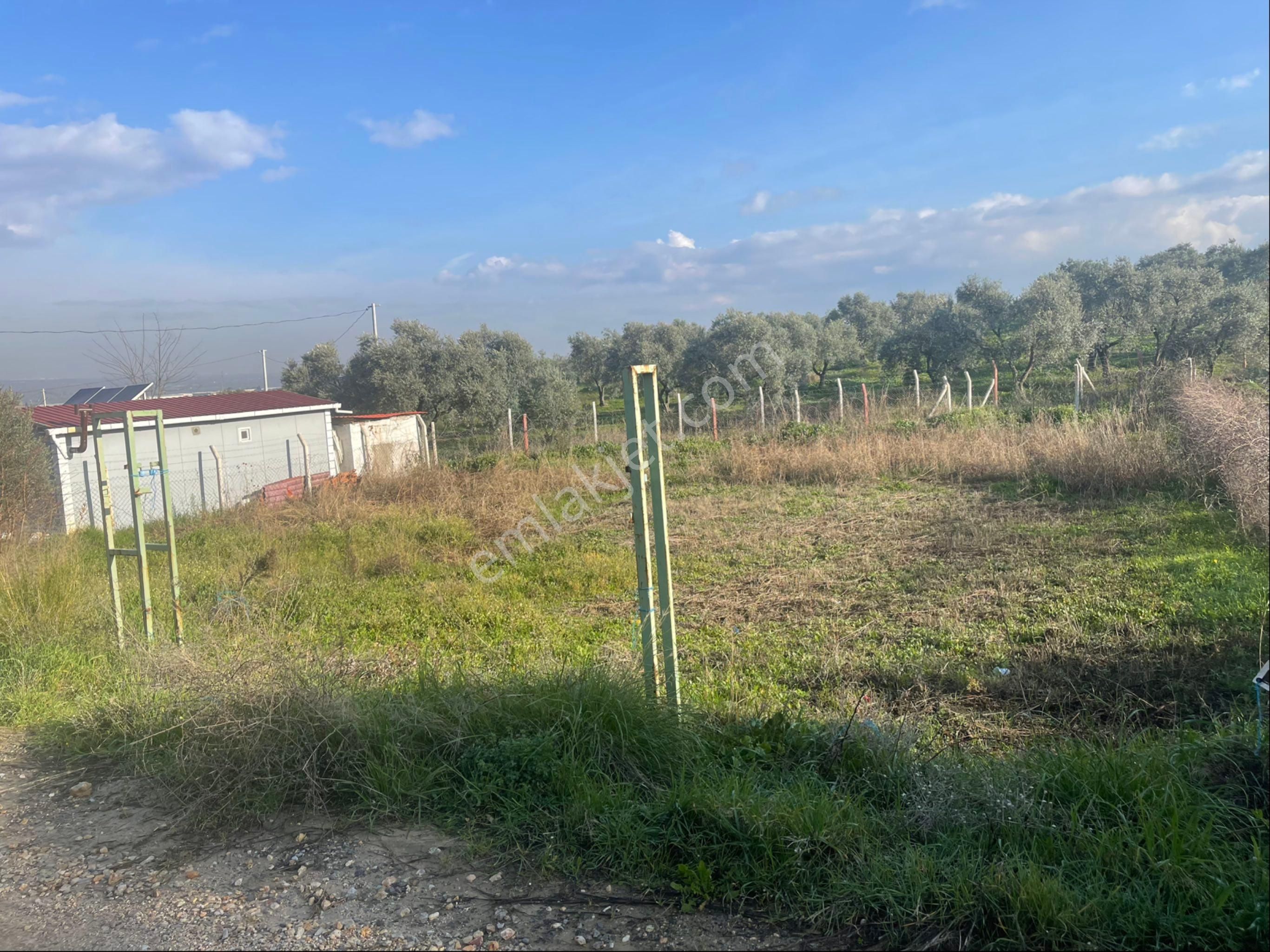 Kemalpaşa Armutlu'da Satılık İmarlı 490 M2 Arsa - Görsel 5