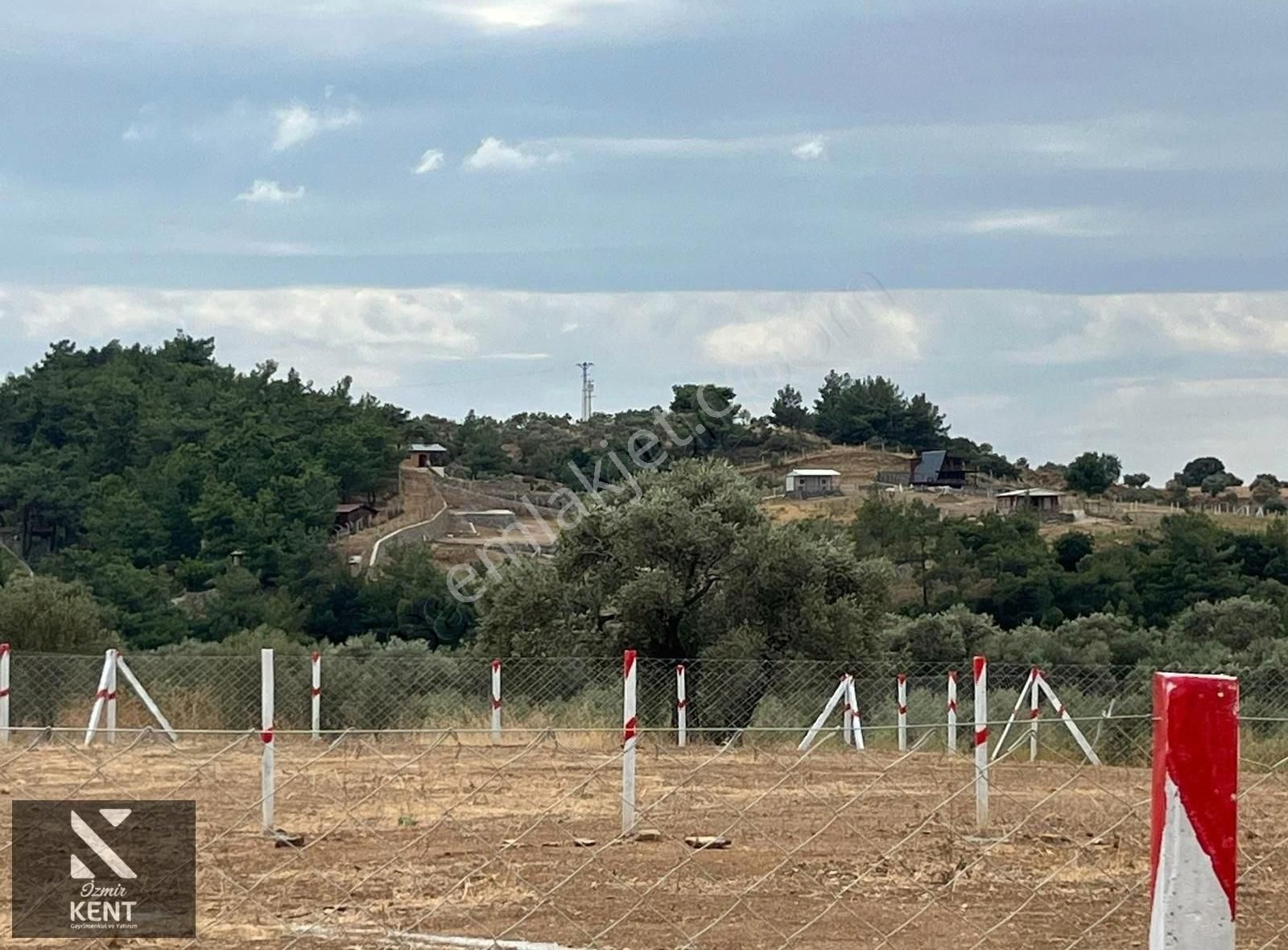 Kemalpaşa Dereköy Satılık Bağ & Bahçe Kemalpaşa Dereköy Satılık 1200 M2 Zeytin Bahçesi