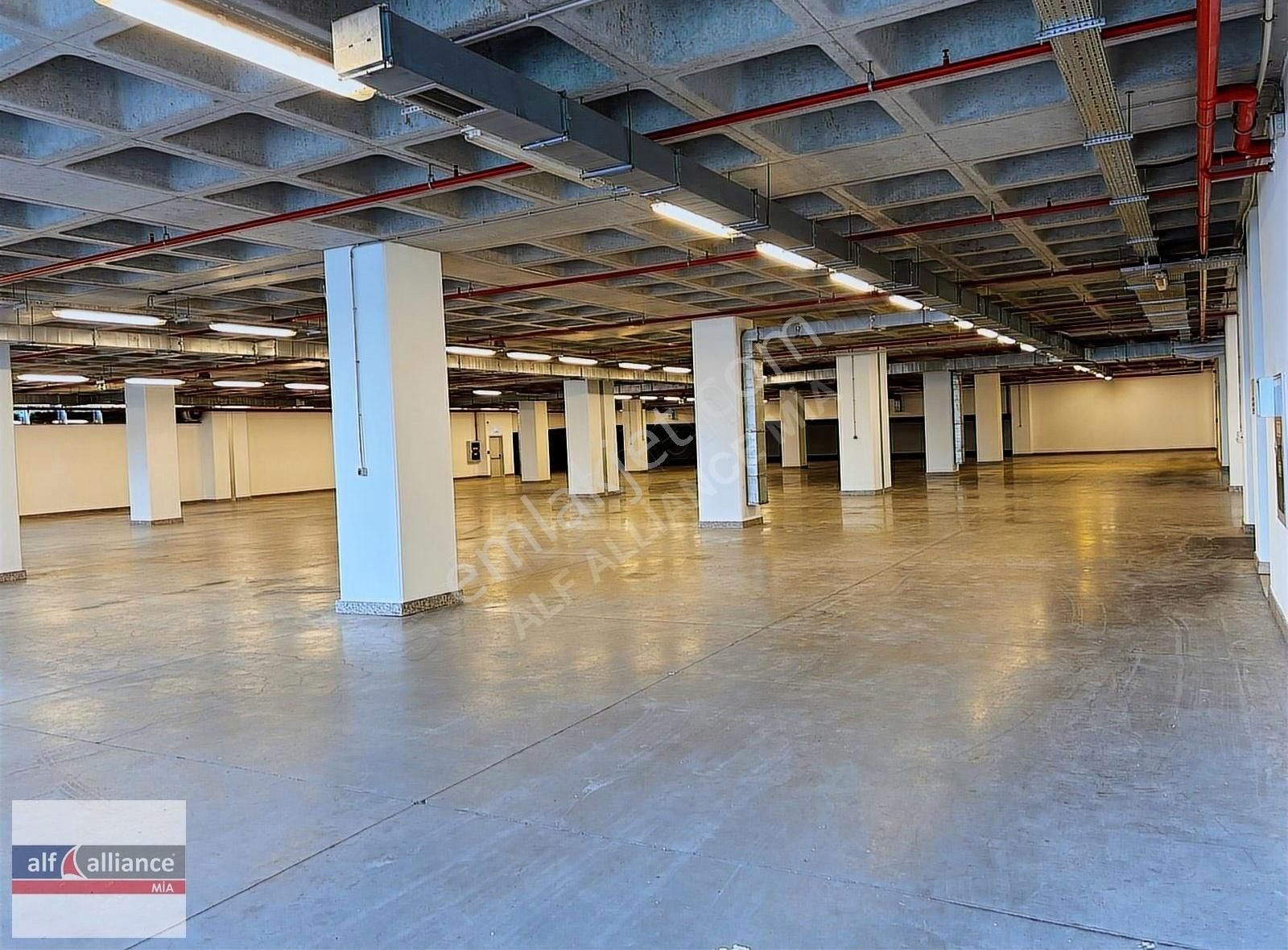 Bağcılar Mahmutbey Kiralık Atölye İstoç Karşısı Tır Rampalı 5.300m2 Kiralık Depo-alfalliance Ticari