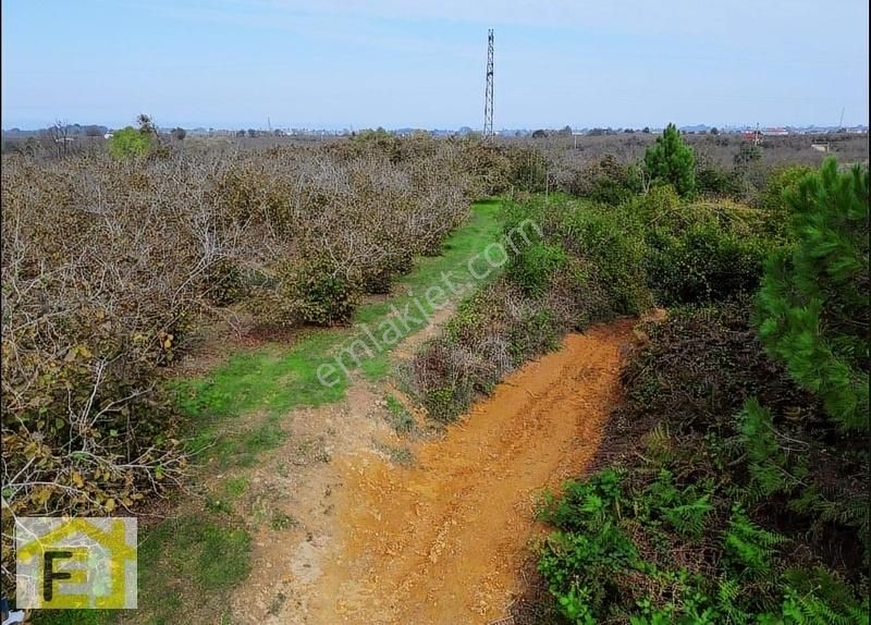 Karasu Karasu Satılık Bağ & Bahçe Sakarya Karasu da Deniz Manzaralı 5.018 m2 Satılık Fındıklık