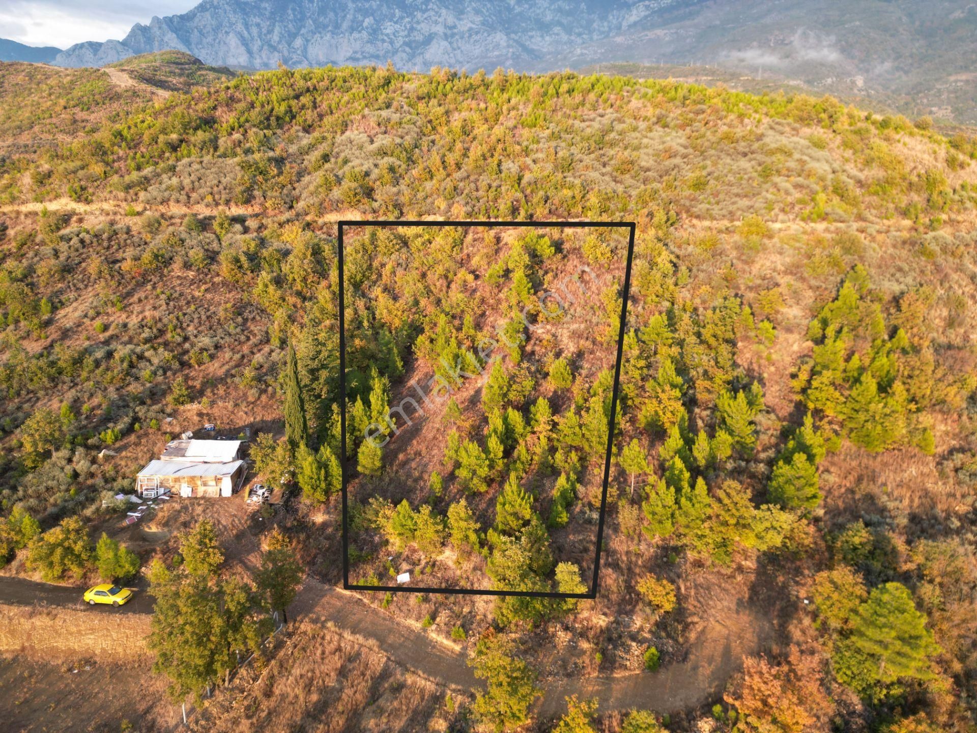 Fakırcalı Köyünde Yatırımlık 1700 M2 Az Eğimli Tarla - Görsel 4