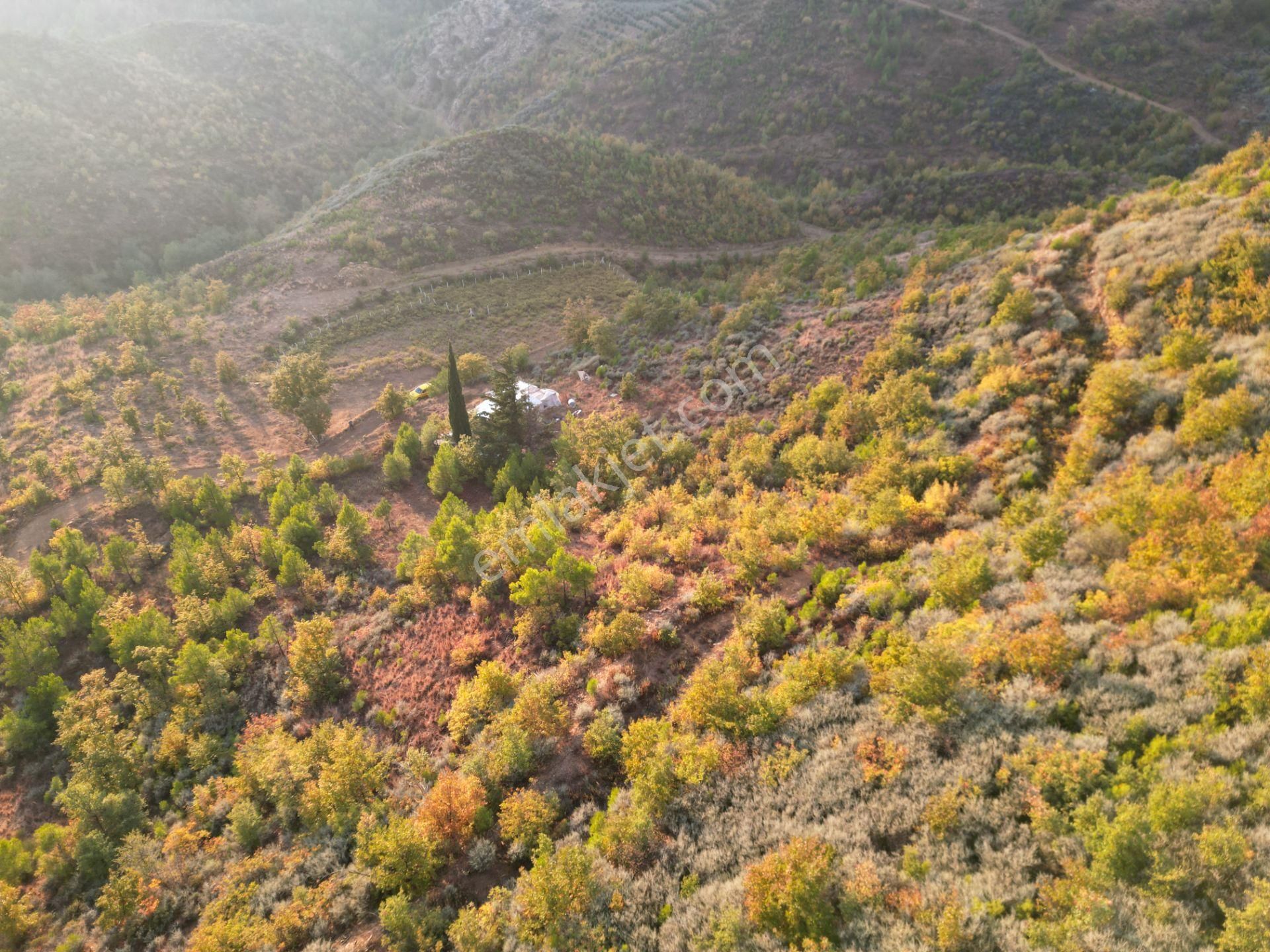 Fakırcalı Köyünde Yatırımlık 1700 M2 Az Eğimli Tarla - Görsel 13