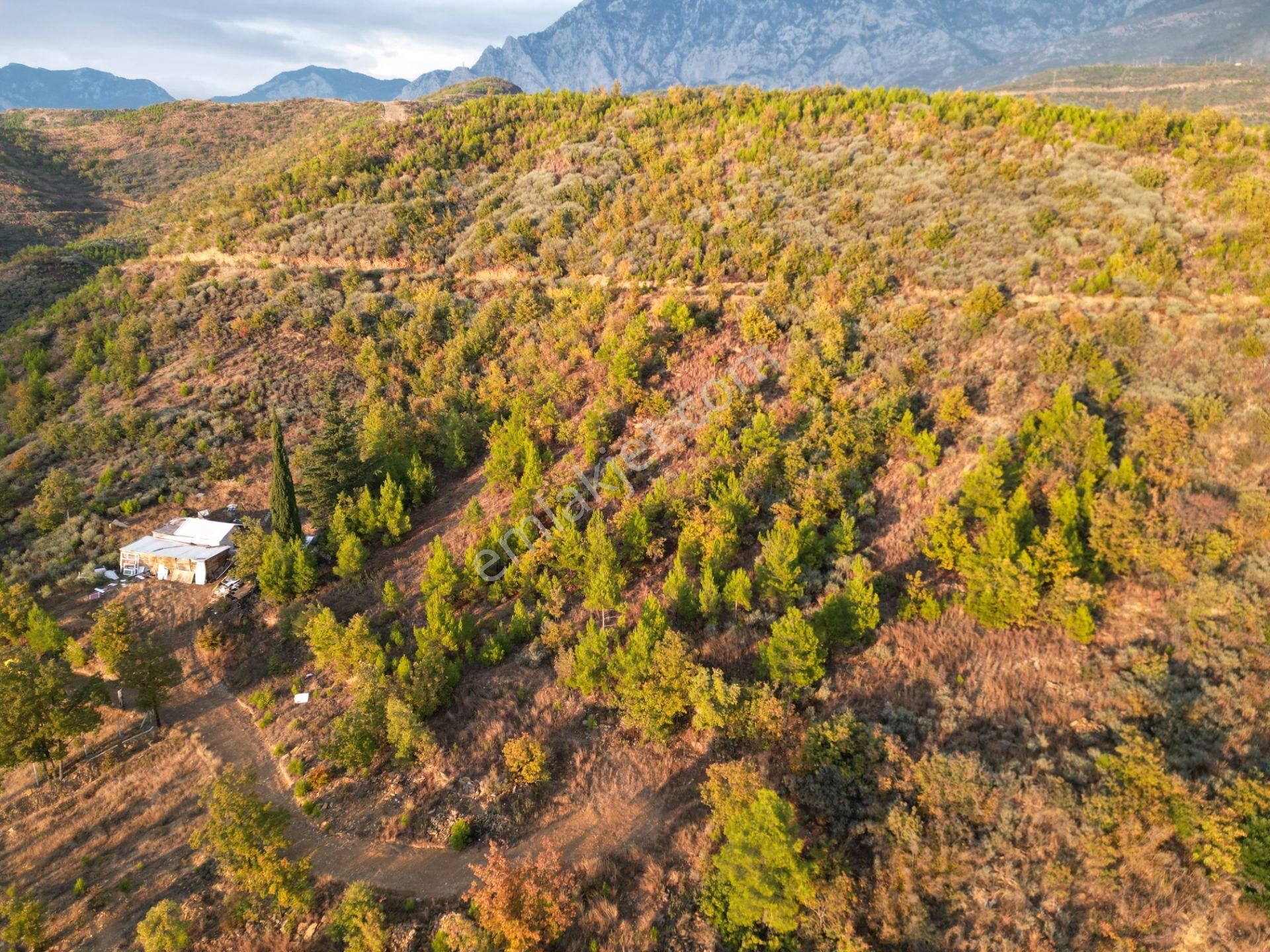 Fakırcalı Köyünde Yatırımlık 1700 M2 Az Eğimli Tarla - Görsel 5