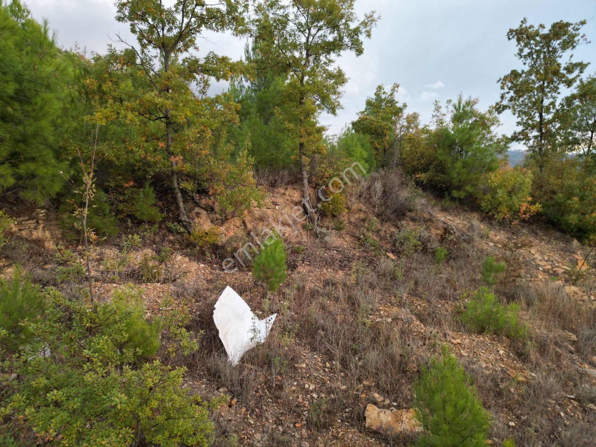 Fakırcalı Köyünde Yatırımlık 1700 M2 Az Eğimli Tarla - Görsel 6