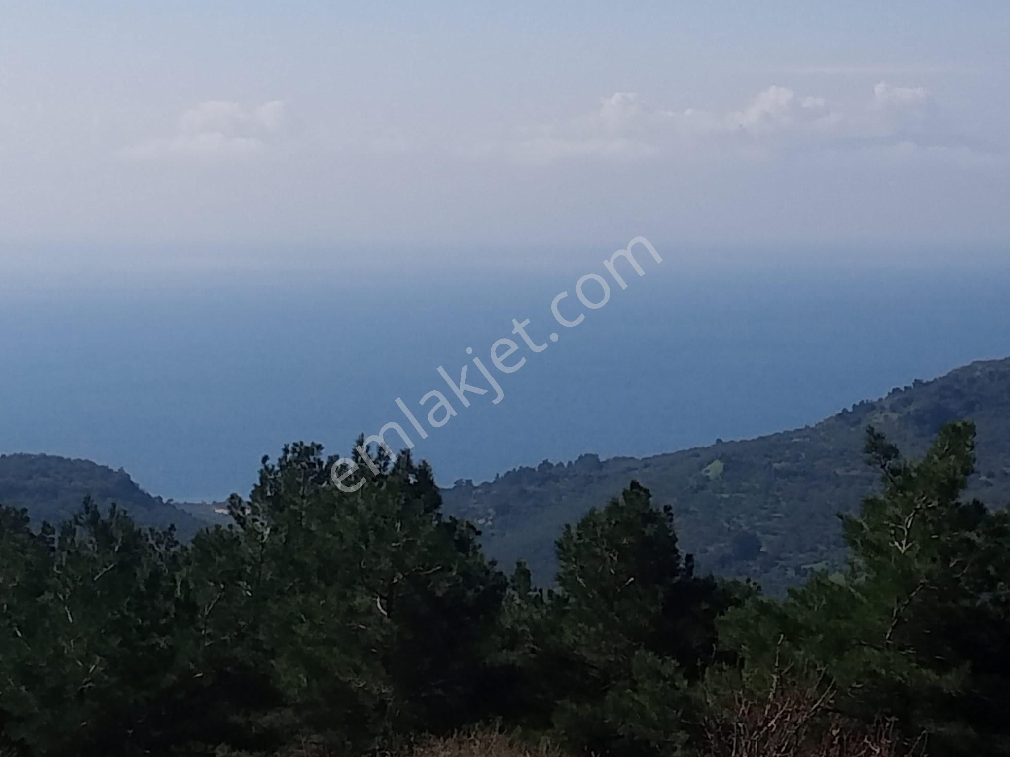 Kuzey Ege'nin İncisi Ahmetçe'de Geleceğe Yatırım!10.333 M² Tarla