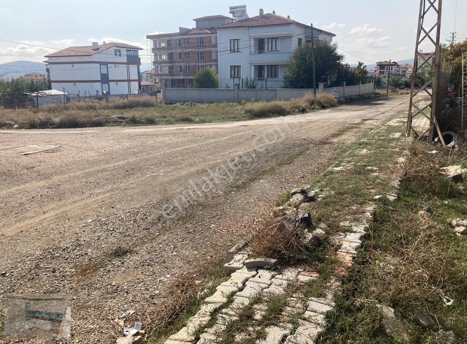 Zile Kislik Satılık Bağ & Bahçe minareyi sağır mahallesinde satılık ARSA