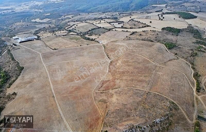 Karacabey Kıranlar Satılık Tarla 173 DÖNÜM RUHSATA UYGUN YOLU SUYU MEVCUT FIRSAT YER