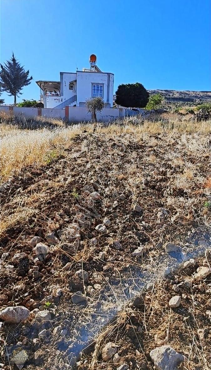 Hanedan Emlak'tan Yaycı'da Satılık Bagevlik Arazi - Görsel 6