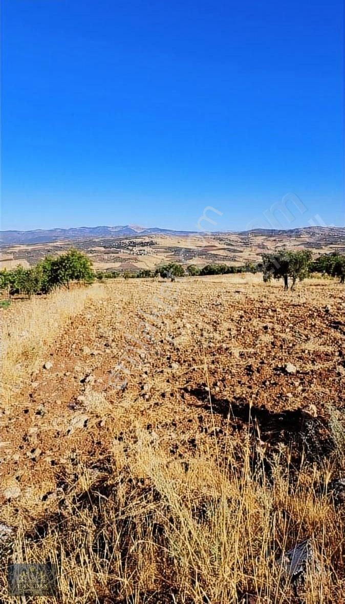 Hanedan Emlak'tan Yaycı'da Satılık Bagevlik Arazi - Görsel 9