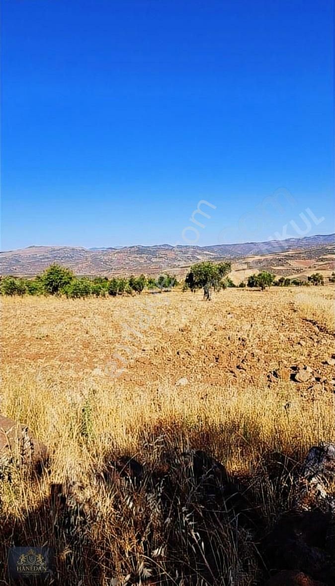 Hanedan Emlak'tan Yaycı'da Satılık Bagevlik Arazi - Görsel 7