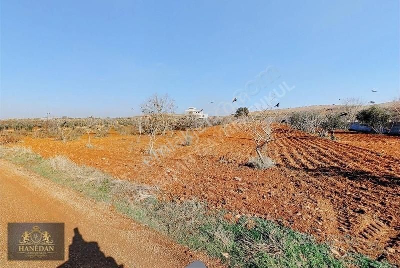 Şahinbey Geneyik Satılık Tarla Hanedan Gyo'dan Geneyik'te Yatırımlık Asfalt Üstü Arazi