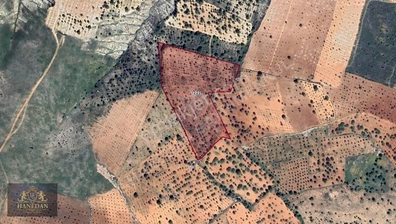 Gaziantep Şehitkamil Satılık Zeytinlik HANEDAN GYO'DAN SİNAN'DA 15.900M² SATILIK FISTIKLIK