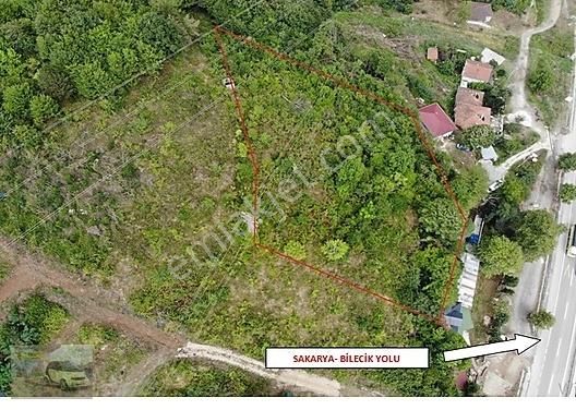 Geyve Karaçam Satılık Tarla Nuruosmaniye-karaçam Arasında 2 Adet Toplam 7338 M2 Satılık Arsa