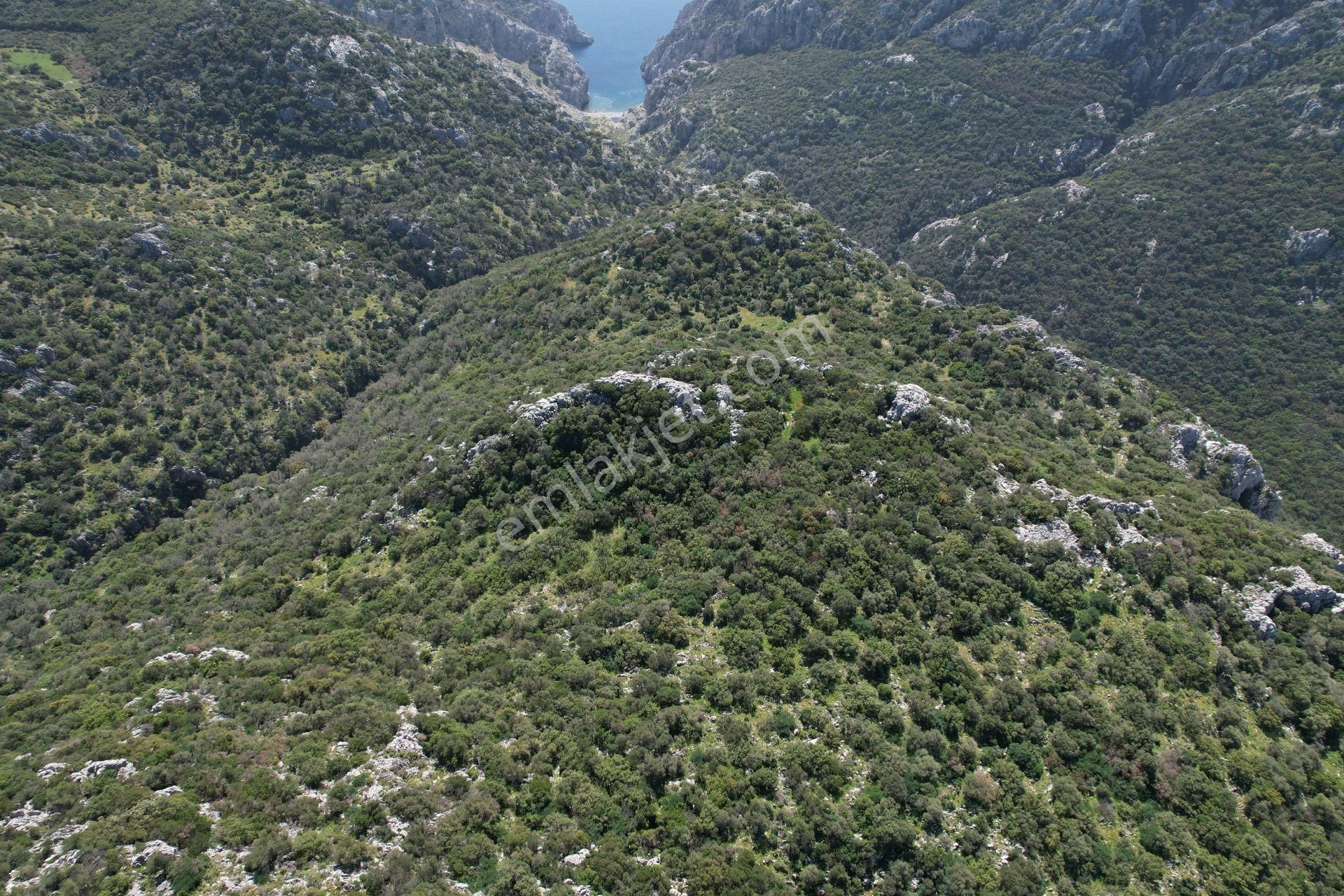 Marmaris Bayırda Yatırımlık Tarla %30 Peşin 12 Ay Vade İmkanı - Görsel 4