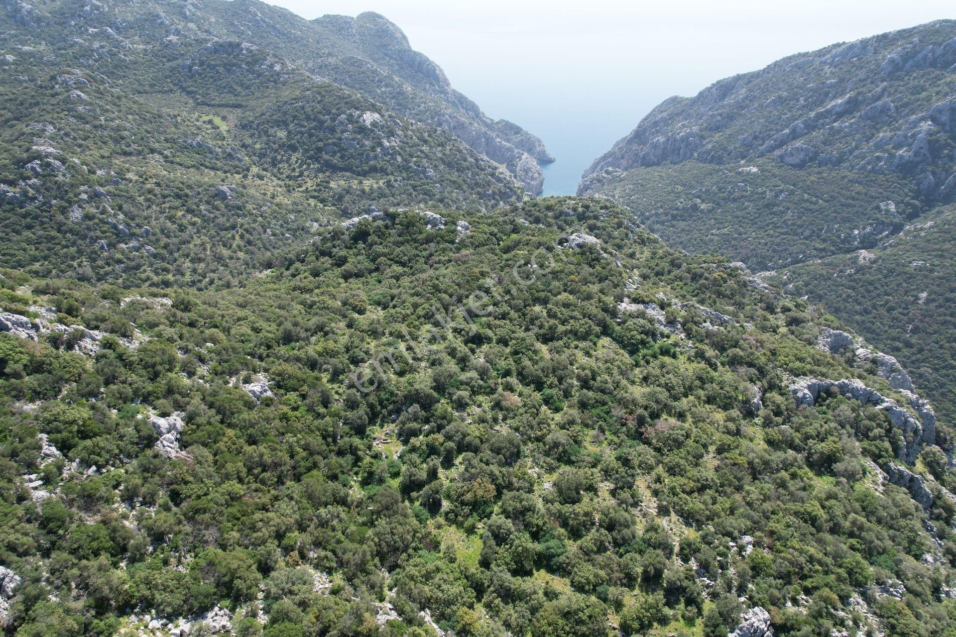 Marmaris Bayırda Yatırımlık Tarla %30 Peşin 12 Ay Vade İmkanı - Görsel 10