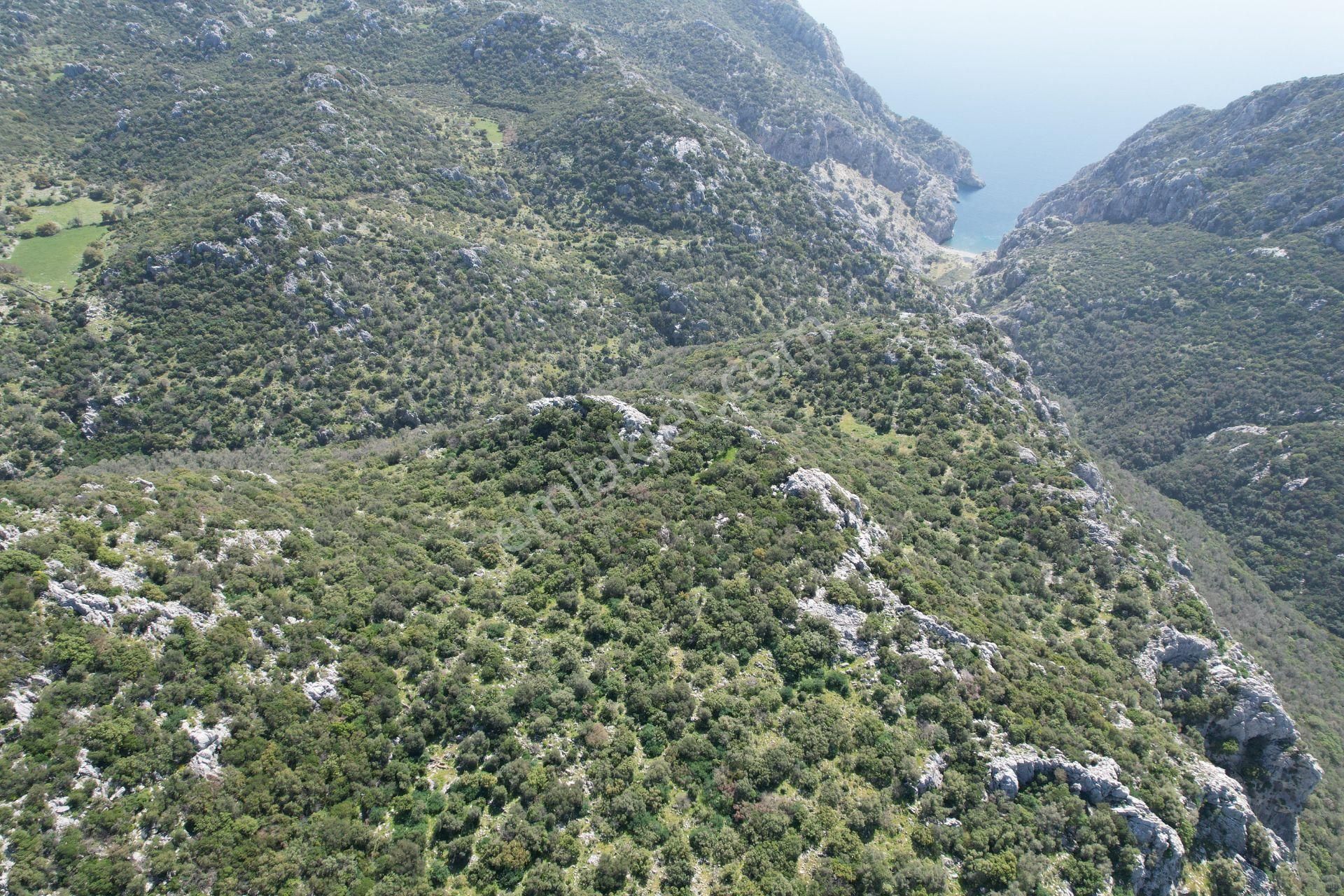 Marmaris Bayırda Yatırımlık Tarla %30 Peşin 12 Ay Vade İmkanı - Görsel 8