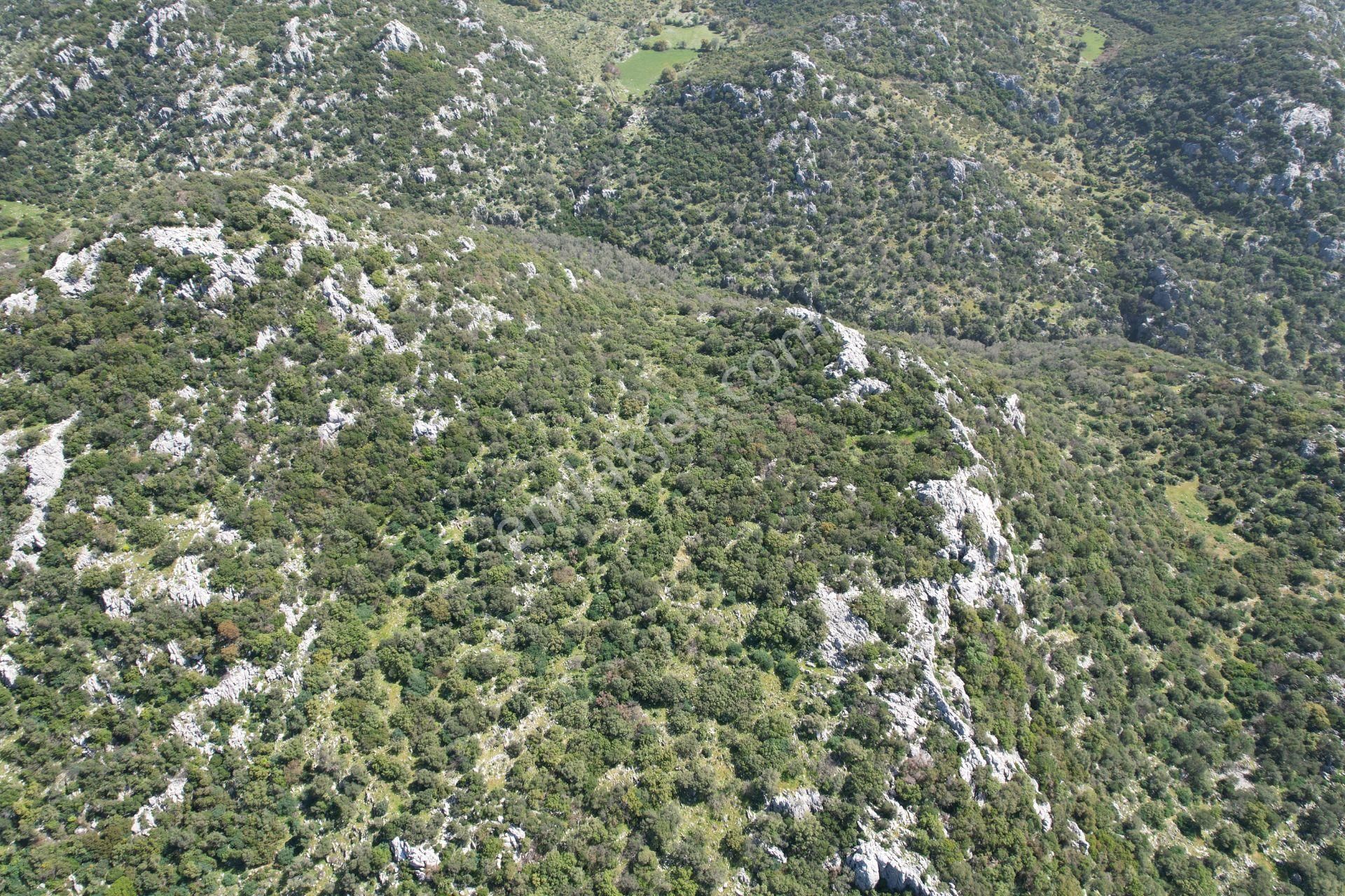 Marmaris Bayırda Yatırımlık Tarla %30 Peşin 12 Ay Vade İmkanı - Görsel 7