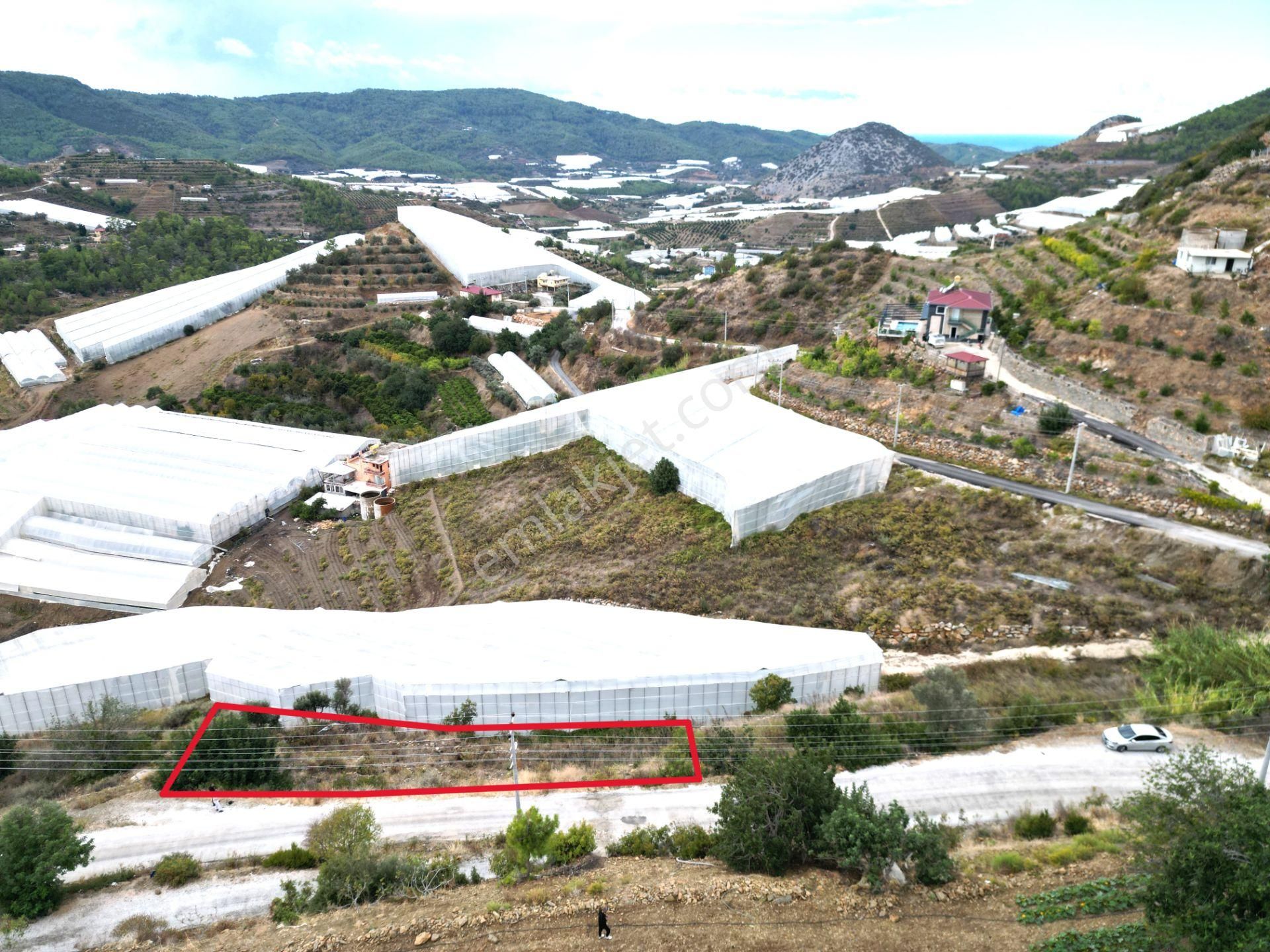 Alanya İmamlı Mah. Yola Sıfır Konumda Yatırımlık 900 M2 Tarla - Görsel 11
