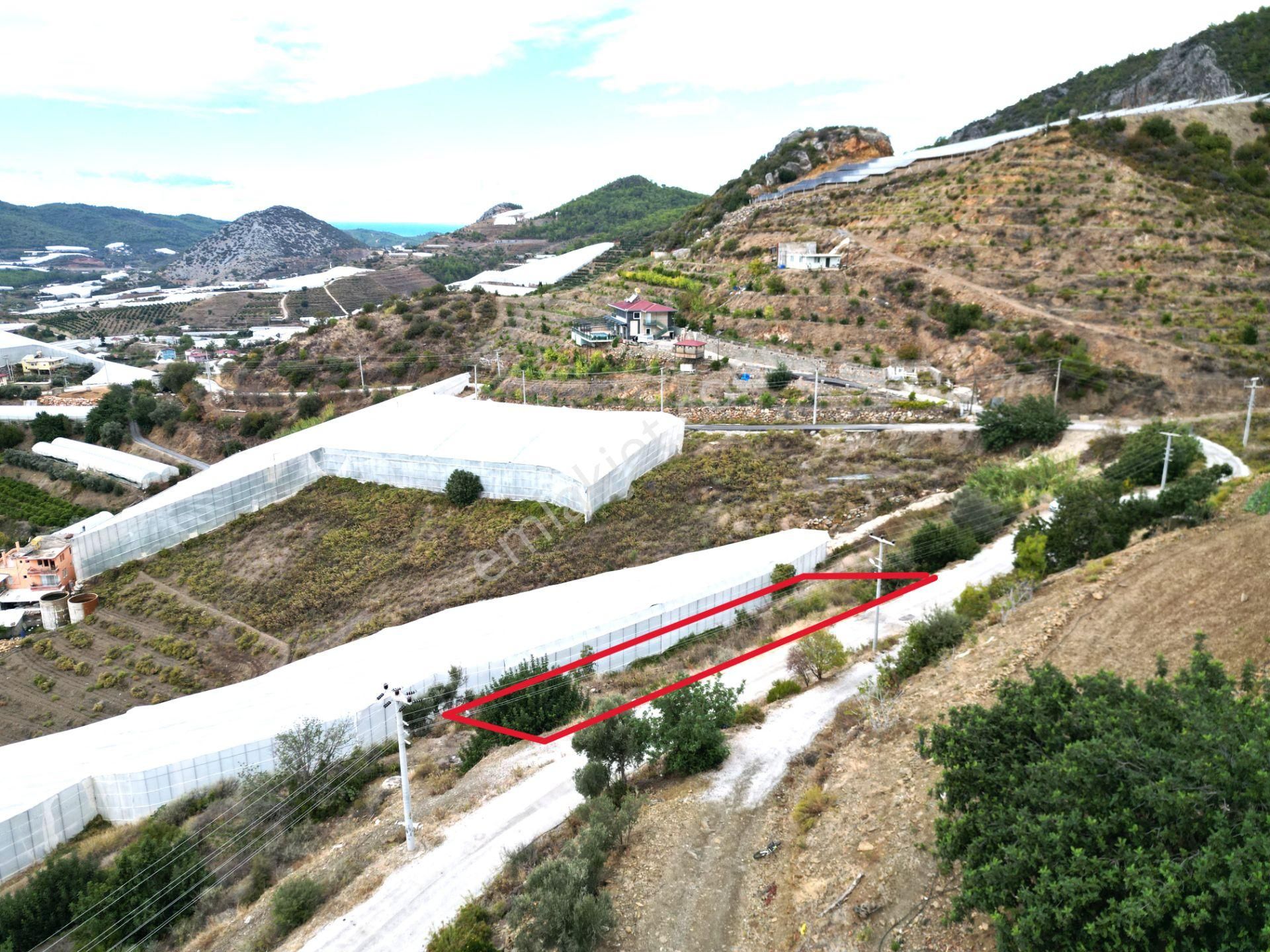 Alanya İmamlı Mah. Yola Sıfır Konumda Yatırımlık 900 M2 Tarla - Görsel 2