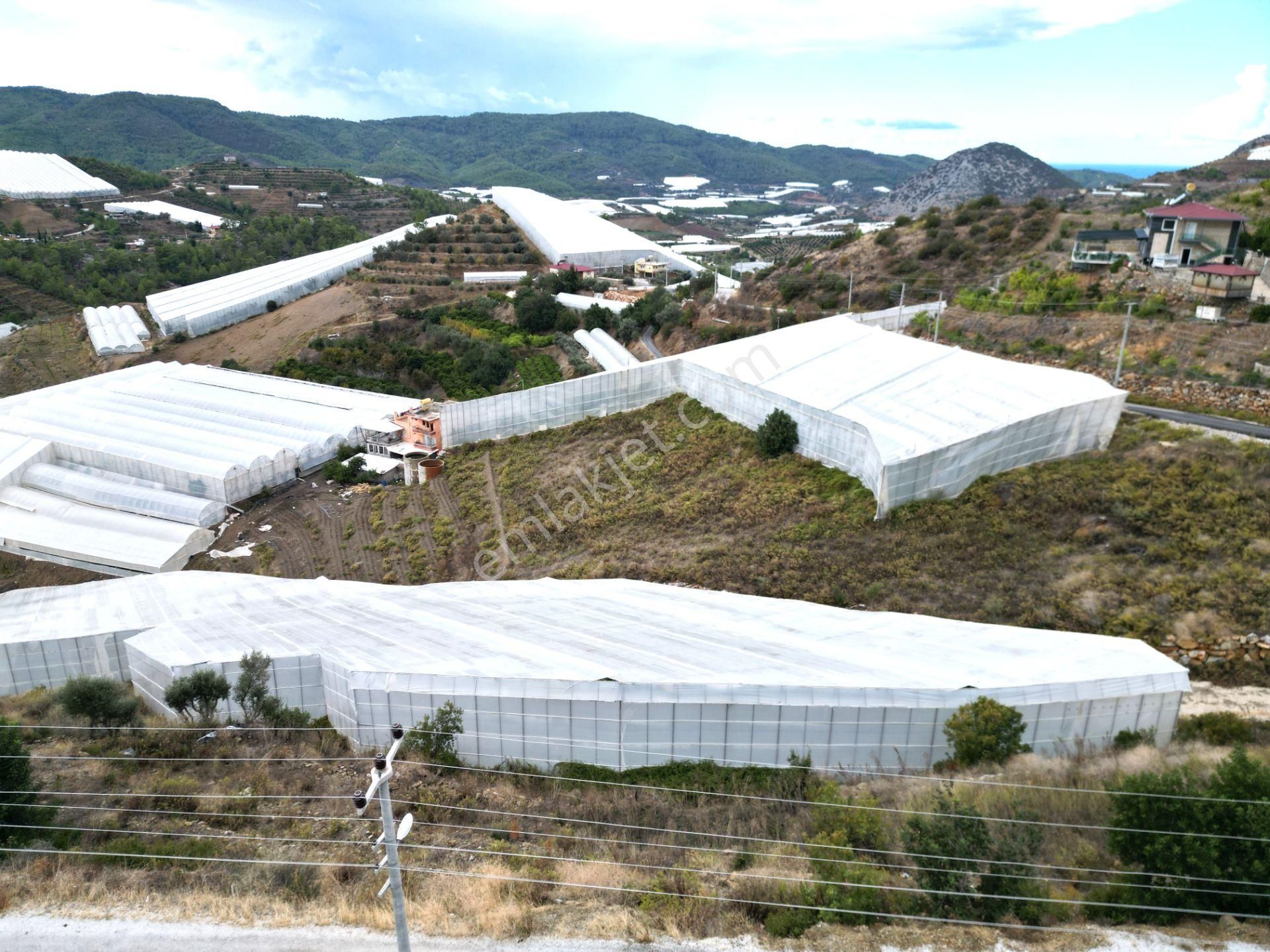 Alanya İmamlı Mah. Yola Sıfır Konumda Yatırımlık 900 M2 Tarla - Görsel 16