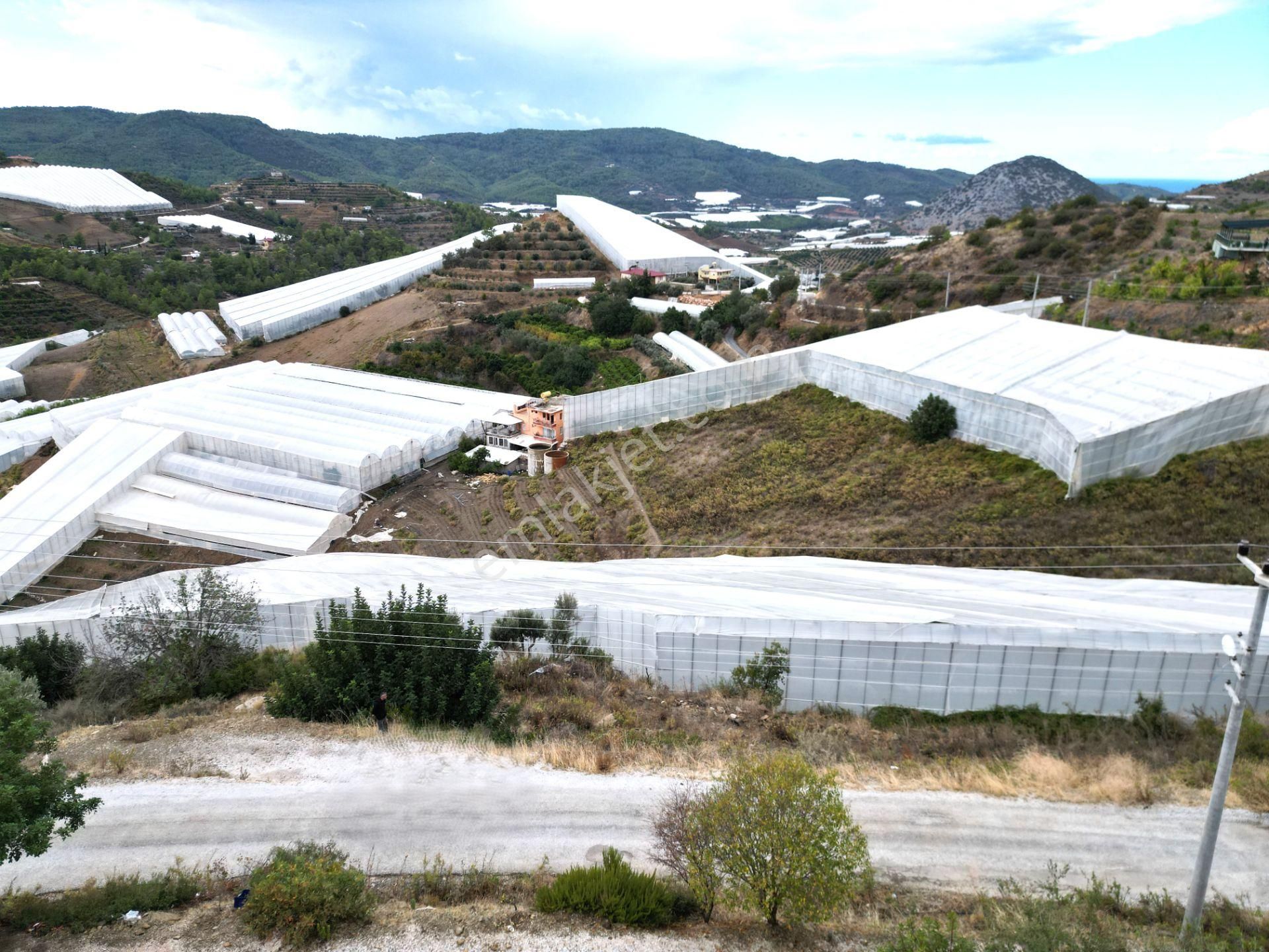 Alanya İmamlı Mah. Yola Sıfır Konumda Yatırımlık 900 M2 Tarla - Görsel 15