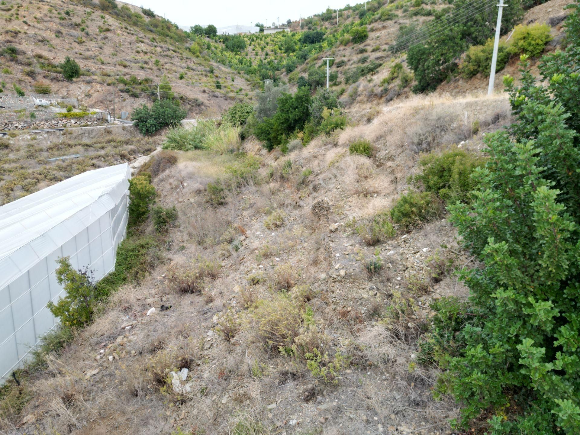 Alanya İmamlı Mah. Yola Sıfır Konumda Yatırımlık 900 M2 Tarla - Görsel 21