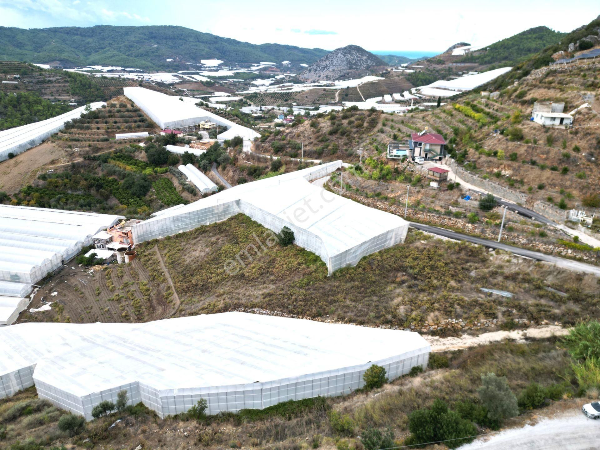 Alanya İmamlı Mah. Yola Sıfır Konumda Yatırımlık 900 M2 Tarla - Görsel 13