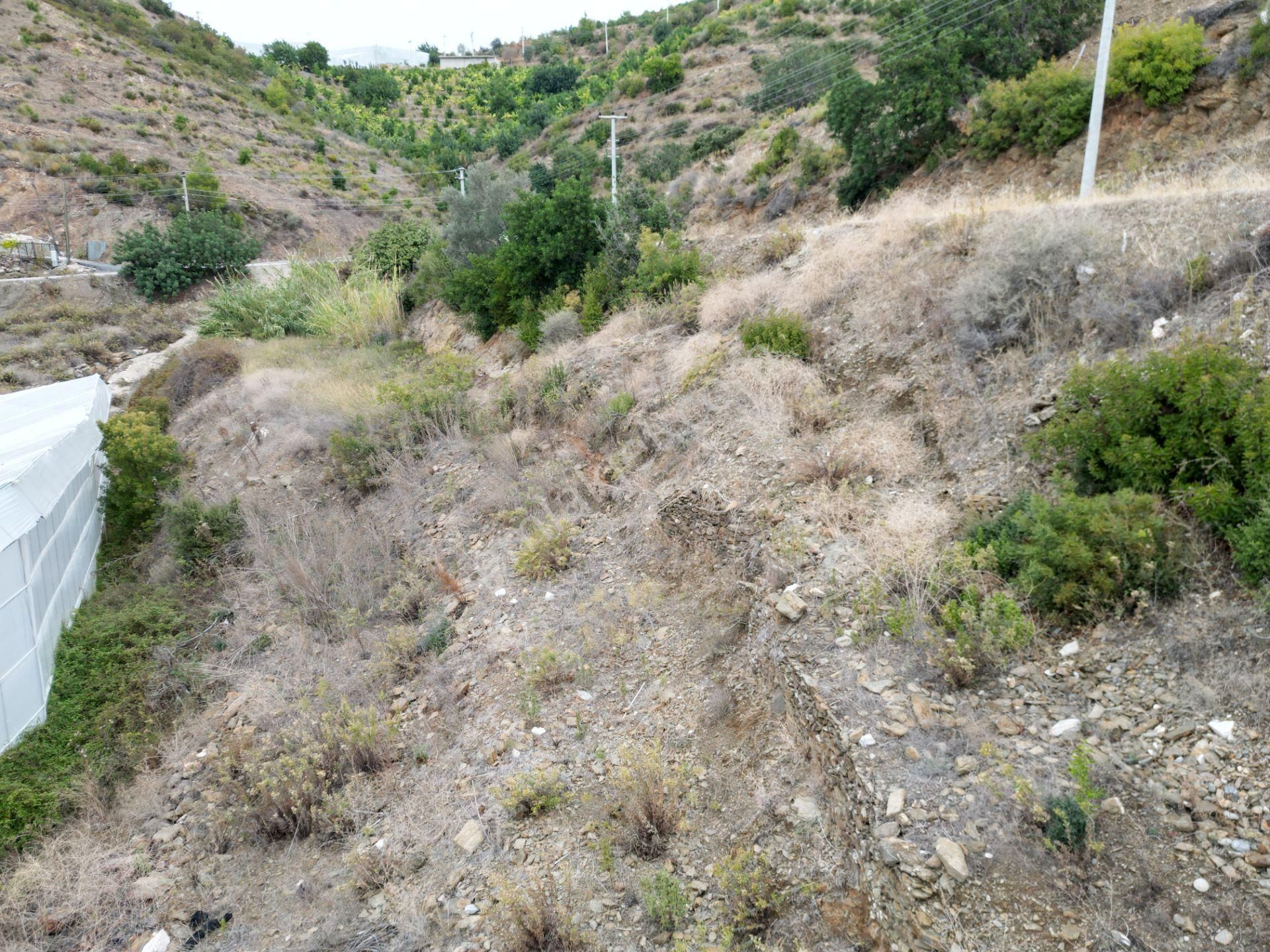 Alanya İmamlı Mah. Yola Sıfır Konumda Yatırımlık 900 M2 Tarla - Görsel 3