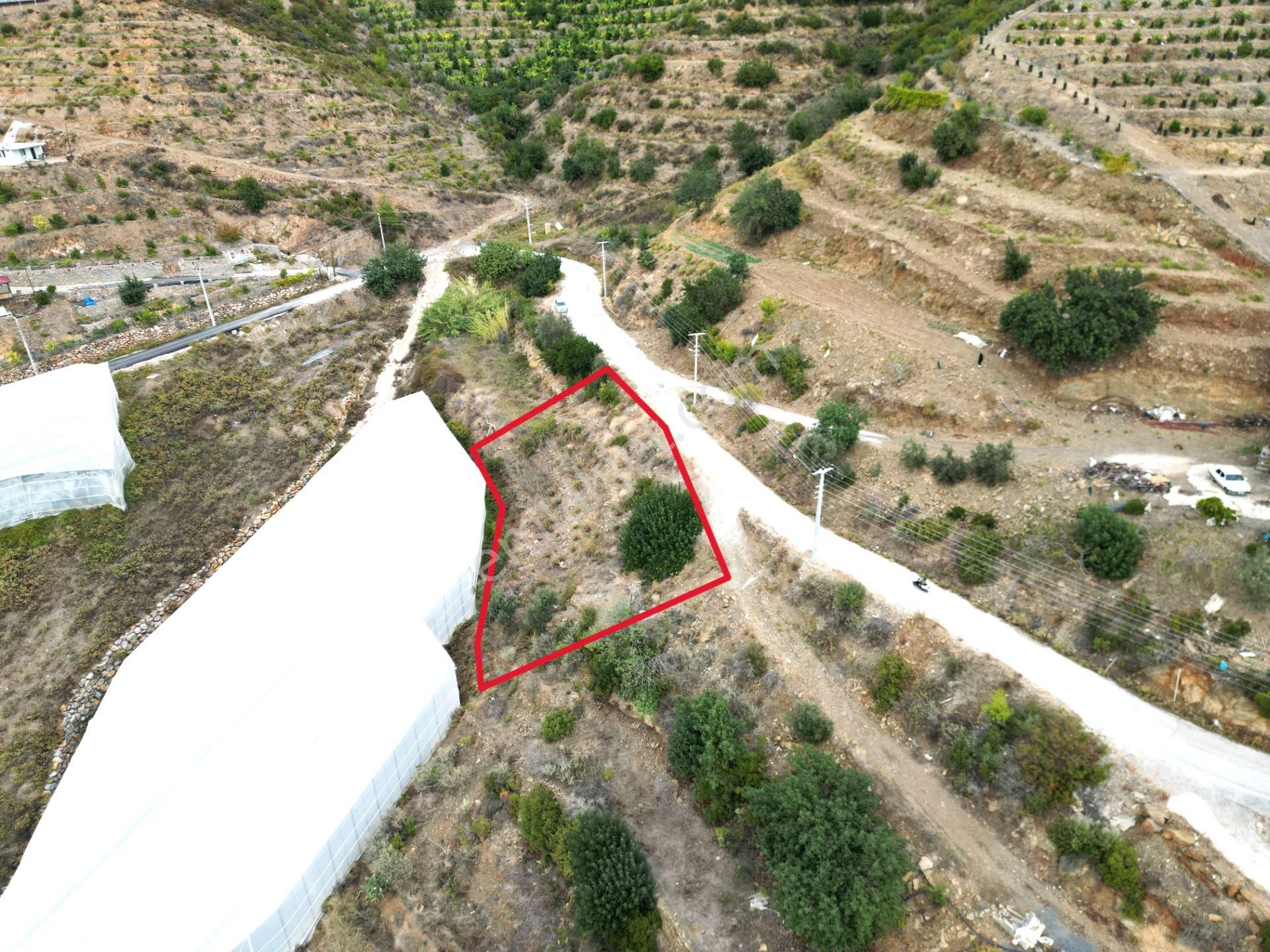 Alanya İmamlı Mah. Yola Sıfır Konumda Yatırımlık 900 M2 Tarla - Görsel 4